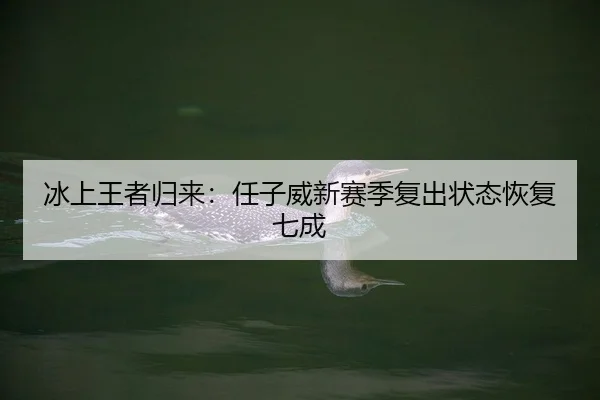 bing-shang-wang-zhe-gui-lai-ren-zi-wei-xin-sai-ji-fu-chu-zhuang-tai-hui-fu-qi-cheng-2-479.jpg
