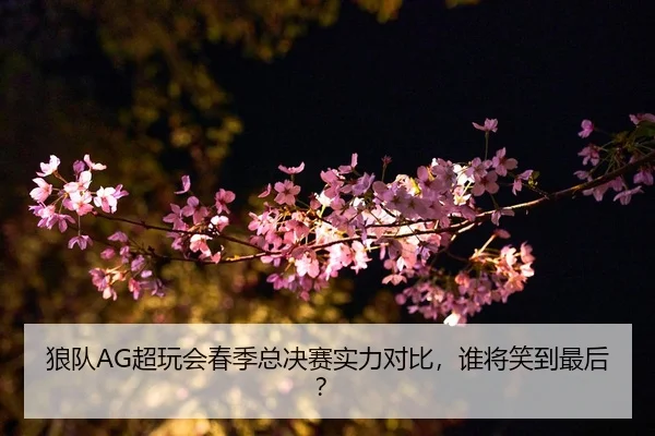 lang-dui-chao-wan-hui-chun-ji-zong-jue-sai-shi-li-dui-bi-shui-jiang-xiao-dao-zui-hou-2-961.jpg